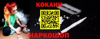 стаф Донецк
