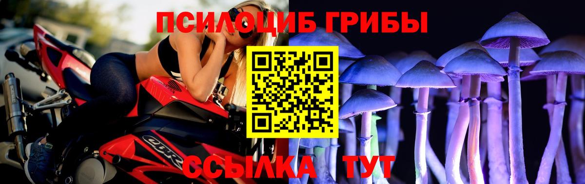 Псилоцибиновые грибы Cubensis Нижнеудинск